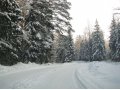 Лесной участок в СНТ Нерощино в городе Дмитров, фото 4, Московская область