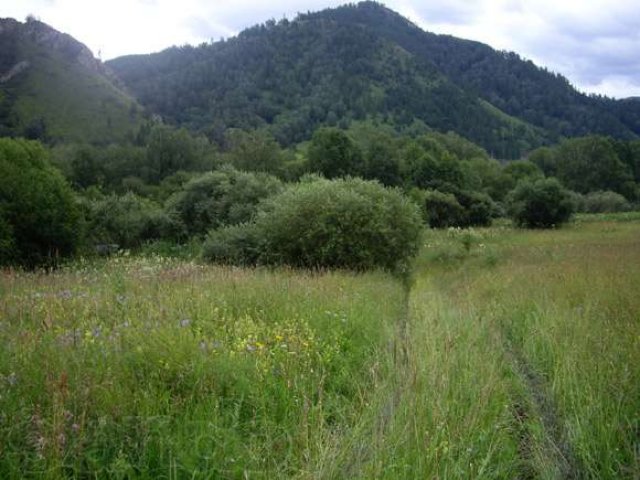 ПРОДАМ ЗЕМЛЮ НА АЛТАЕ – земельный участок 7,4 га в городе Горно-Алтайск, фото 2, стоимость: 2 100 000 руб.