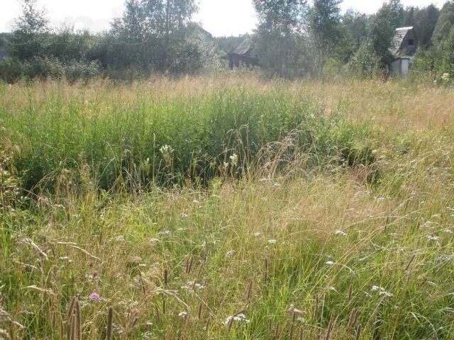 Участок в сад-ве Парус в городе Выборг, фото 1, Ленинградская область