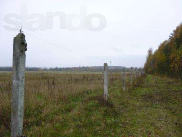 Земельный участок 6,5 Га в деревне Пекуново, Кимрский район в городе Кимры, фото 1, Тверская область