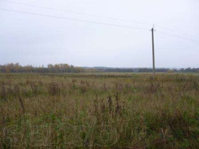 Земельный участок 6,5 Га в деревне Пекуново, Кимрский район в городе Кимры, фото 3, Продажа земли сельхоз назначения