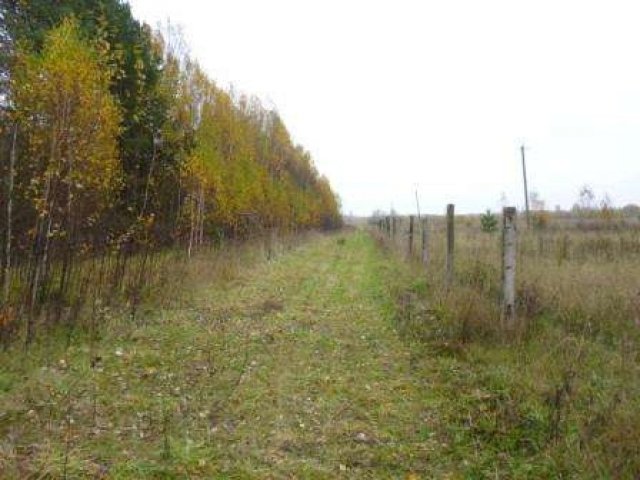 Земельный участок 6,5 Га в деревне Пекуново, Кимрский район в городе Кимры, фото 5, стоимость: 6 500 000 руб.