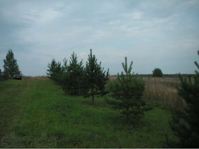 Земельный участок в городе Киров, фото 3, Кировская область