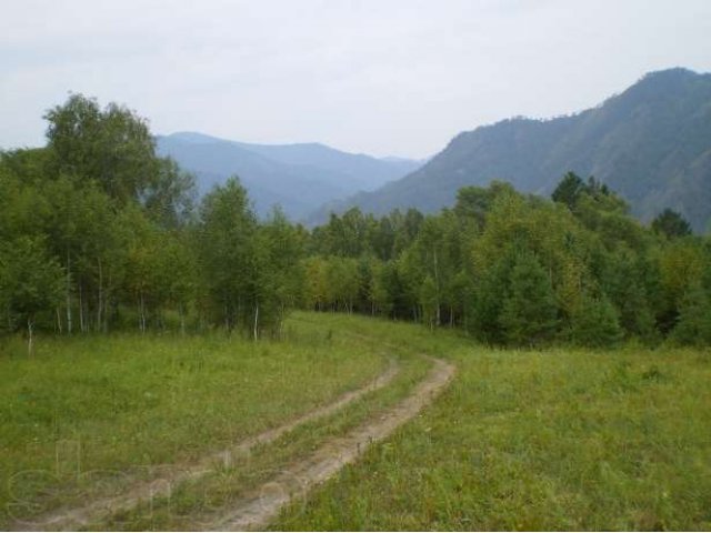 1 Га, 5 км от с. Чемал в городе Горно-Алтайск, фото 7, Продажа земли сельхоз назначения