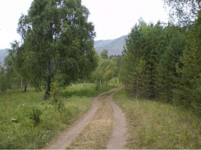 1 Га, 5 км от с. Чемал в городе Горно-Алтайск, фото 8, Алтай