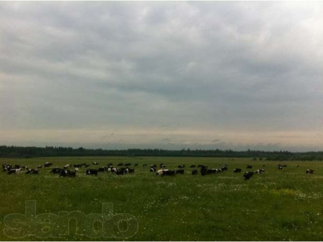 Продам участок с/х в Лихославльском районе в городе Лихославль, фото 1, Продажа земли сельхоз назначения