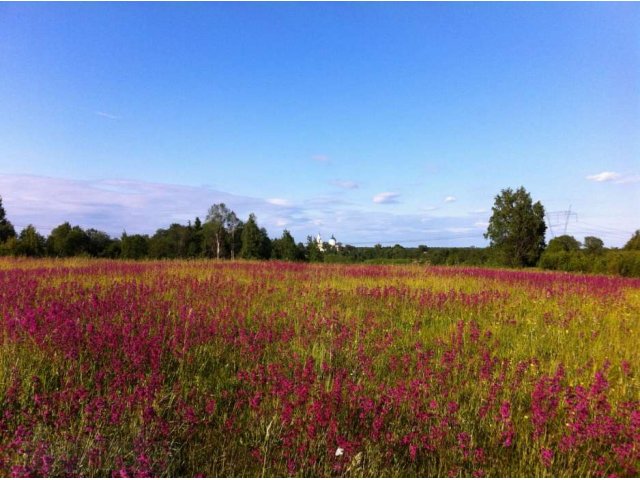 Участок в городе Бологое, фото 4, стоимость: 15 000 000 руб.