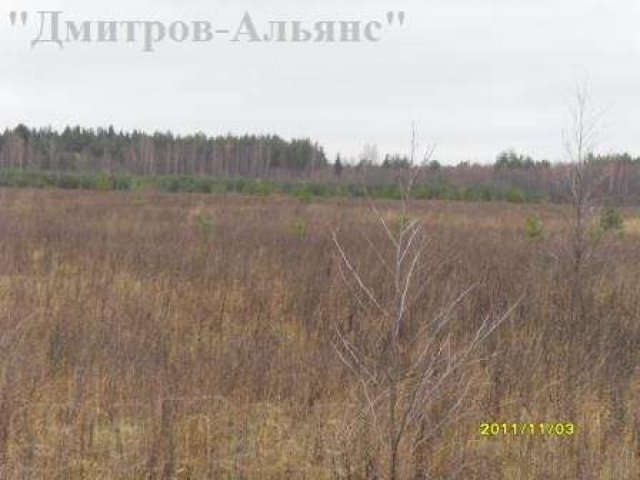 Продаётся 4,2 га земли. в городе Дмитров, фото 1, Московская область