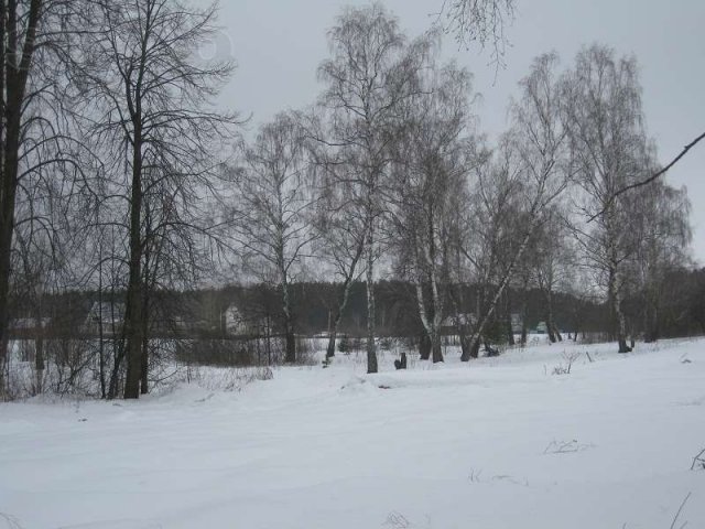 Участок в д.Агрошкола в городе Жуков, фото 7, стоимость: 300 000 руб.