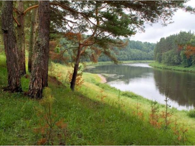 Продаю участок у Волги,Ржевский р-н,12,8 Га,3500 руб/сотка.Собственник в городе Ржев, фото 2, Продажа земли сельхоз назначения