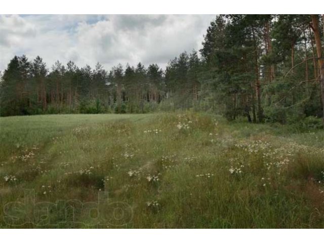 Земля с\х назначения по Ярославскому шоссе в городе Александров, фото 1, стоимость: 6 890 000 руб.