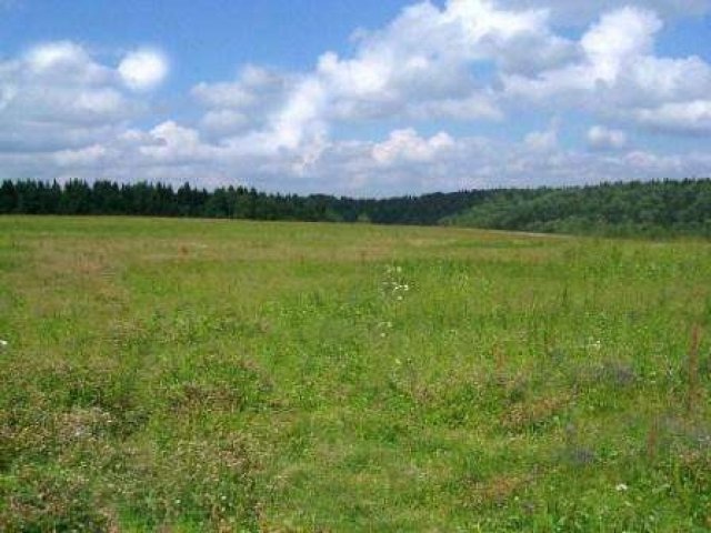 Земля (Карьер) по Щелковскому шоссе в городе Киржач, фото 1, Продажа земли сельхоз назначения