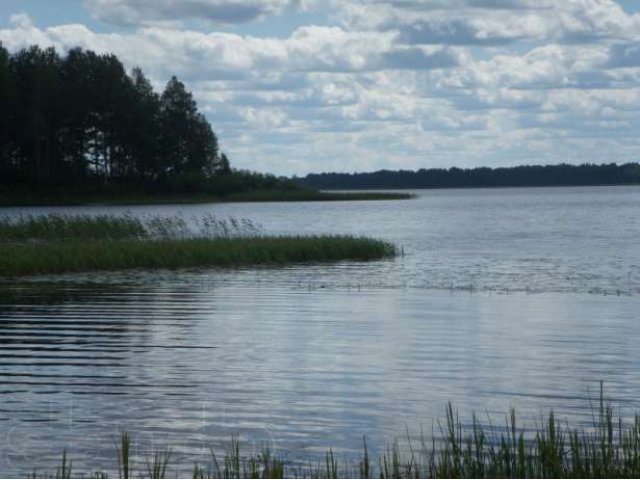 Продаётся земля на берегу озера Великого в городе Боровичи, фото 2, Продажа земли сельхоз назначения