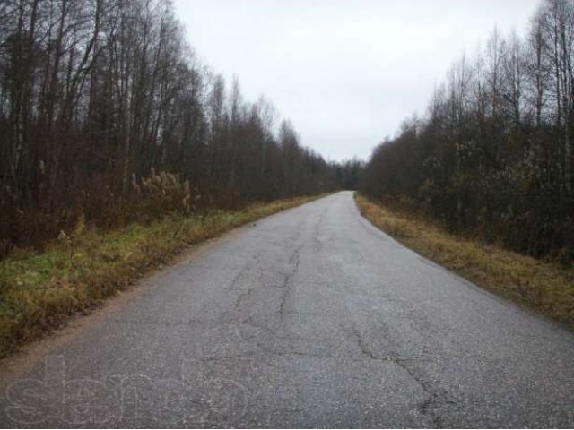 Продаётся земля на берегу озера Великого в городе Боровичи, фото 5, Продажа земли сельхоз назначения