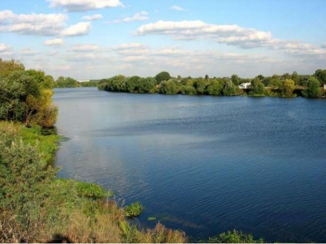 Продаю Земельный участок в дачном садовом товариществе. в городе Жуковский, фото 1, стоимость: 1 000 000 руб.