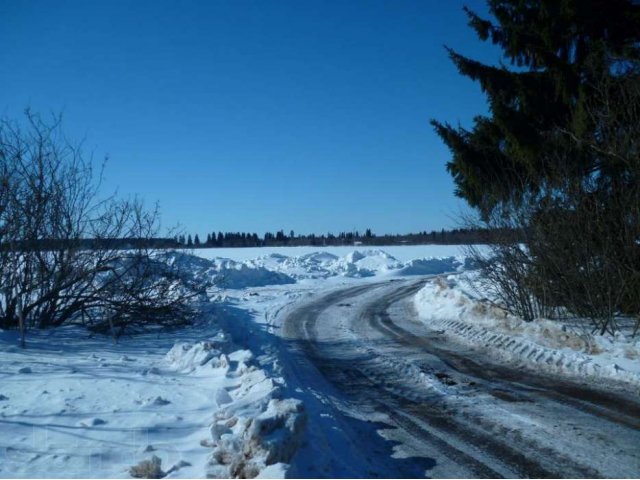 Продам землю сель. хоз. назначения, КФХ в городе Санкт-Петербург, фото 2, Ленинградская область