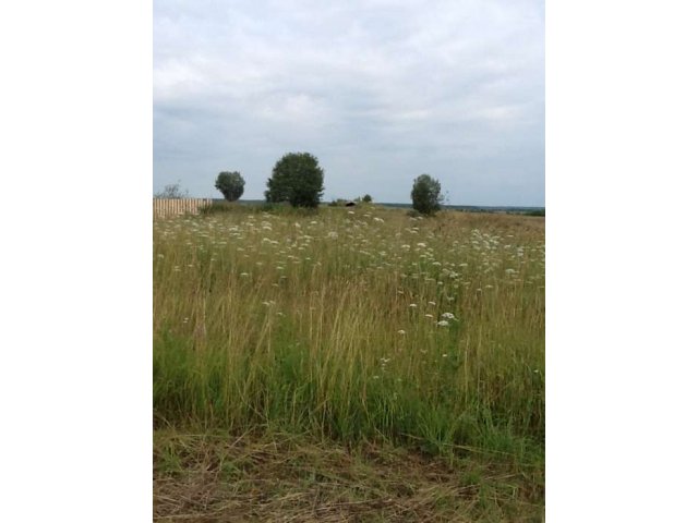 Земля сельскохозяйственного назначения ( 960 Га ) в городе Ростов, фото 3, стоимость: 30 000 000 руб.