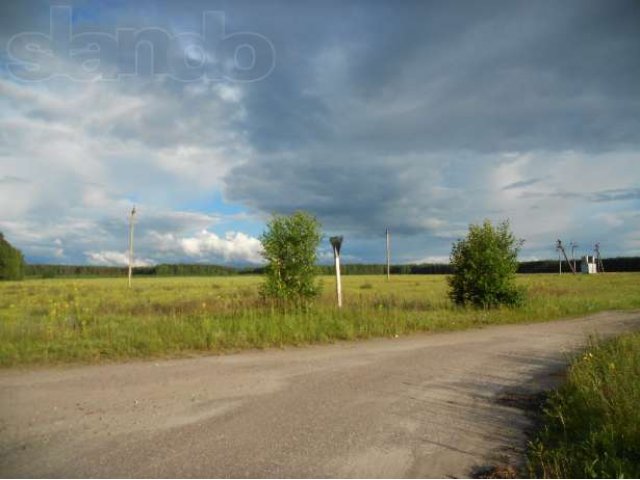 Срочно продаю участок сельхозназначения в городе Брянск, фото 1, Брянская область