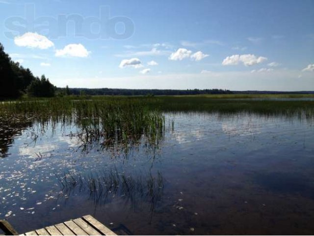 Продается земельный участок в городе Выборг, фото 2, стоимость: 2 200 000 руб.