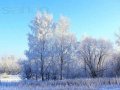 Срочно!!Прекрасный участок в живописном месте! в городе Боровск, фото 2, стоимость: 900 000 руб.