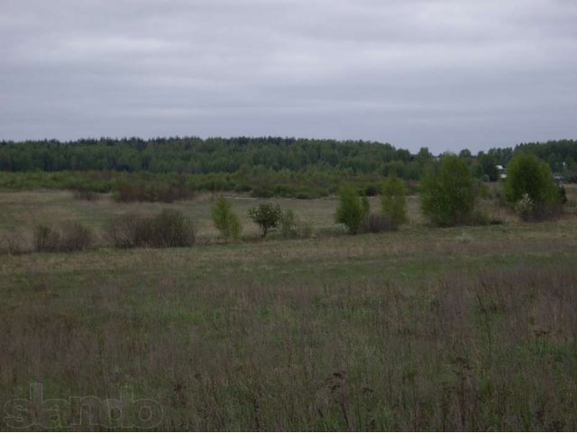 Продаю 5 га земли с/х назначения 80 км от МКАД в городе Киржач, фото 4, стоимость: 1 500 000 руб.