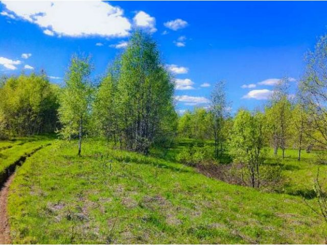 Купить участок в Селижаровском районе за миллион рублей в городе Ржев, фото 4, стоимость: 1 018 065 руб.