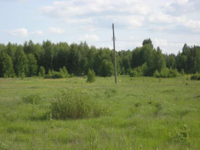 Продаю 73 Га земель с/х. назначения в Рязанской области в городе Шацк, фото 2, Рязанская область