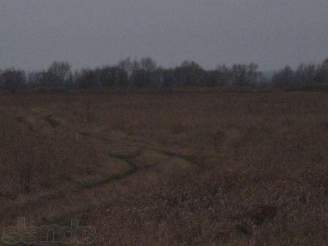 Продаю  67 Га земель с/х назначения  в  Рязанской области в городе Шацк, фото 2, Рязанская область