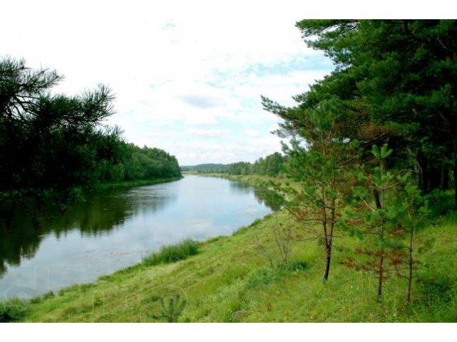 Великолепный участок на берегу Волги в городе Ржев, фото 1, Тверская область