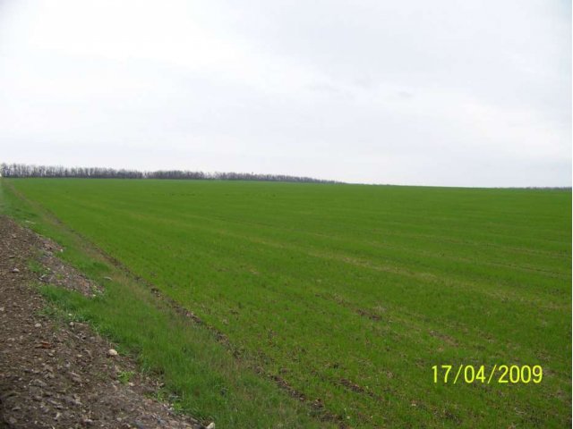 Продаю земельные участки в Аксайском районе в городе Ростов-на-Дону, фото 3, Ростовская область