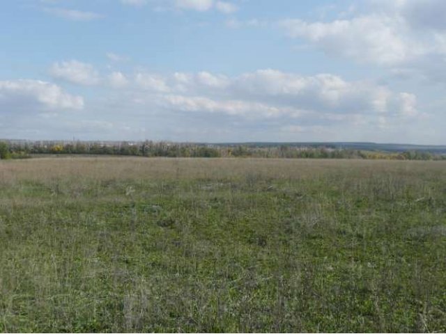 Продаю земельный участок Ставропольский р-н, село ЖИГУЛИ в городе Жигулевск, фото 1, стоимость: 70 400 000 руб.