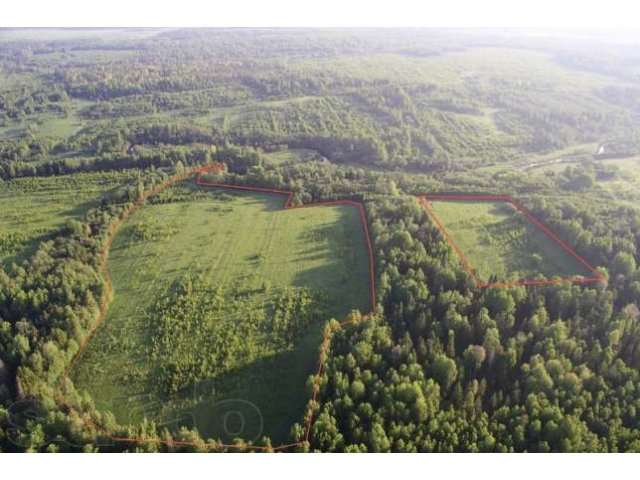 Участок возле реки, окруженный лесом в городе Ржев, фото 1, Тверская область