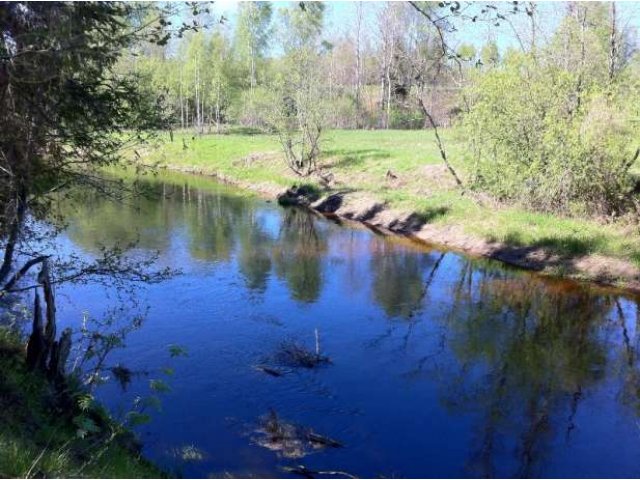 Участок возле реки, окруженный лесом в городе Ржев, фото 3, Продажа земли сельхоз назначения