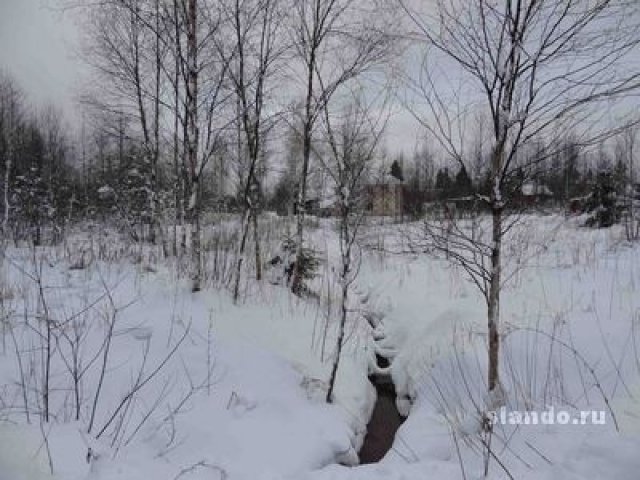 Участок 10 соток Снт Касимово 1 в городе Санкт-Петербург, фото 1, Ленинградская область