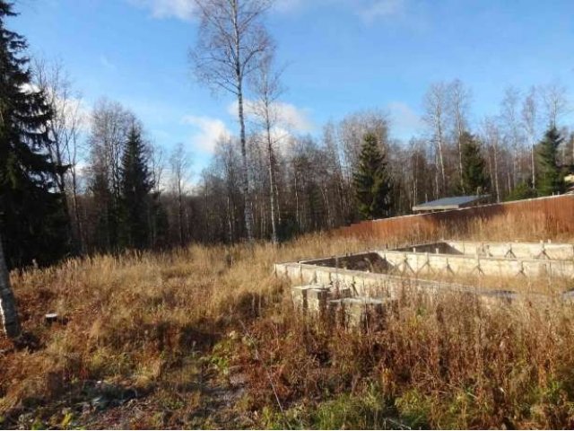 Участок 10 соток СНТ Звезда Касимово в городе Сертолово, фото 2, Ленинградская область