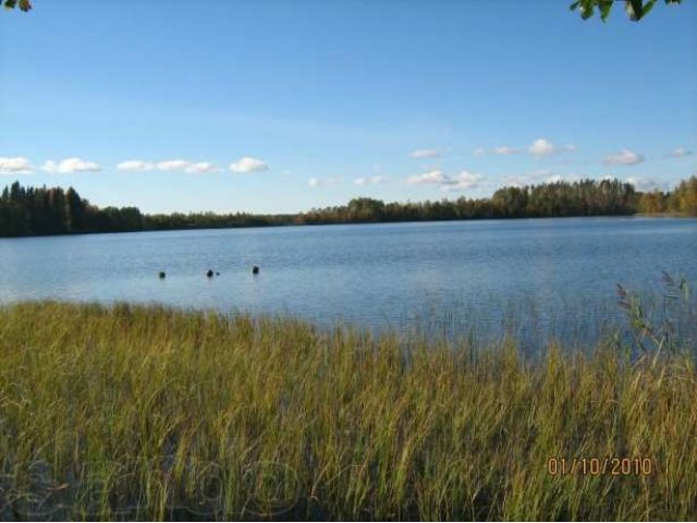 3.4 га берег озера п.Хийтола. в городе Лахденпохья, фото 1, Карелия