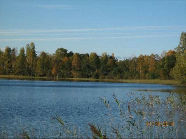 3.4 га берег озера п.Хийтола. в городе Лахденпохья, фото 4, Карелия