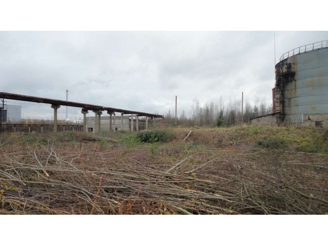 Земля Промназначеня г. Всеволожск в городе Санкт-Петербург, фото 1, Продажа земли промышленного назначения