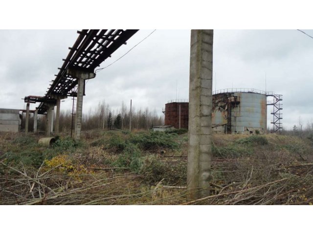 Земля Промназначеня г. Всеволожск в городе Санкт-Петербург, фото 2, Ленинградская область