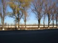 Раменское. Участок 300 соток. в городе Жуковский, фото 1, Московская область