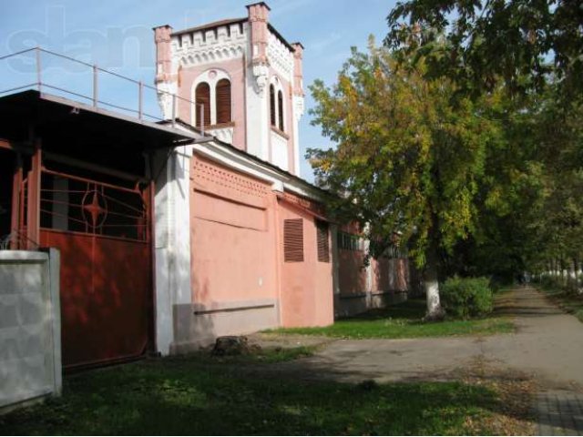 Сдаем в аренду торговые помещения в городе Ногинск, фото 2, Аренда магазинов