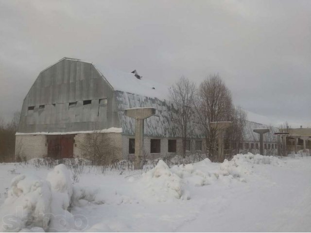 Сдам в аренду здание в черте г.Волхова в городе Волхов, фото 1, Аренда отдельно стоящих зданий и особняков