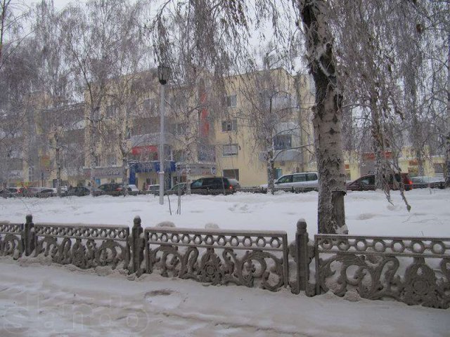 Универсальное помещение на красном проспекте в городе Новосибирск, фото 1, Аренда помещений свободного назначения