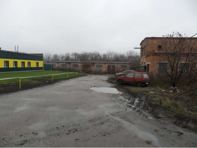 Помещения в г. Щигры в городе Курск, фото 2, Курская область