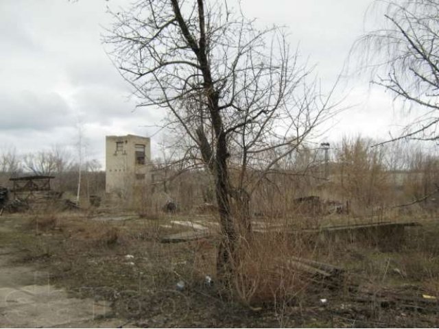 Складские помещения Грибановский р-н в городе Борисоглебск, фото 5, Воронежская область