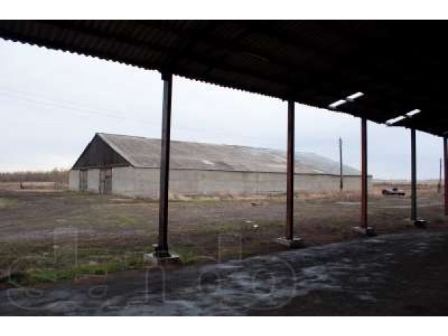 Производственно-складская база в городе Барнаул, фото 2, Алтайский край