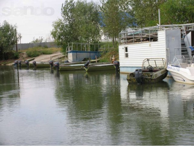 Срочно подаю базу Камызякский р-н с.Ревин Хутор в городе Астрахань, фото 7, Продажа баз отдыха