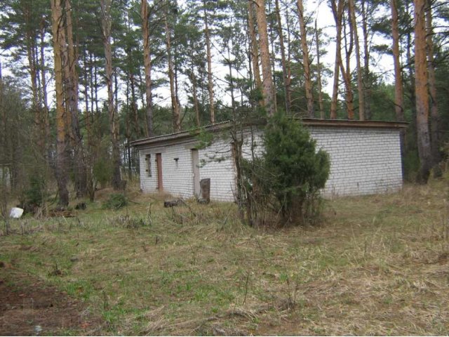 Лагерь в Суздальском рай-не. в городе Владимир, фото 2, Владимирская область