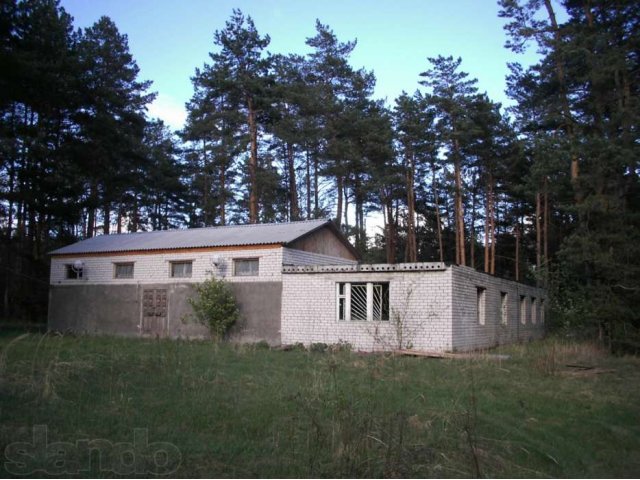 Лагерь в Суздальском рай-не. в городе Владимир, фото 5, Владимирская область