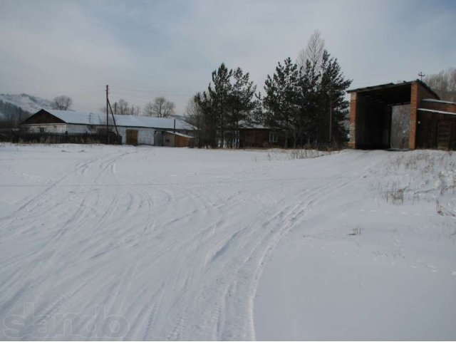 Продаю Производственный комплекс с. Чарышское, Чарышский район, в городе Барнаул, фото 1, Алтайский край